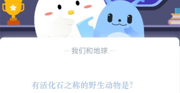 有活化石之称的野生动物是?支付宝蚂蚁庄园11月17日答案