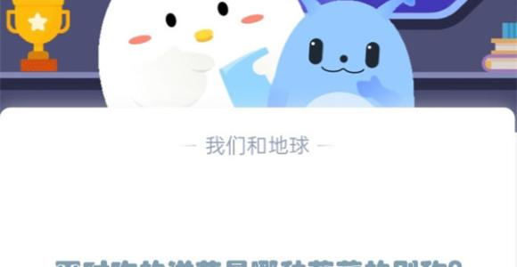平时吃的洋芋是哪种蔬菜的别称?支付宝蚂蚁庄园12月5日答案