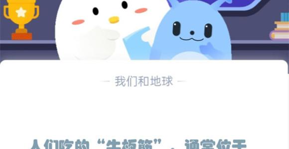 人们吃的“牛板筋”，通常位于牛的哪个部位?支付宝蚂蚁庄园12月5日答案