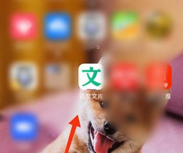 百度文库怎么查看文库币数量?百度文库查看文库币数量的方法