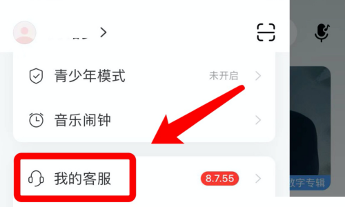 网易云音乐怎么实名认证？网易云音乐实名认证教程