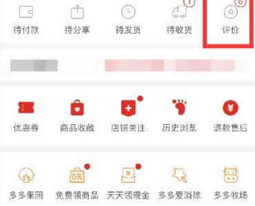 拼多多评价记录怎么查看?拼多多评价记录查看方法