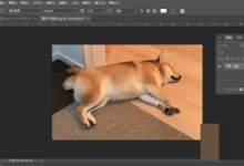 Photoshop图层样式在哪里?Photoshop图层样式查看方法